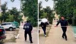 媒體評“不拴狗繩一律捕捉” 輿論場正在發生微妙的改變