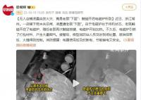 無人店鋪凌晨起火 “兇手”竟是老鼠