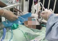 專家談狗咬女童事件:不應搞株連