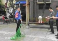 合肥:寵物狗出門不拴繩一律捕捉