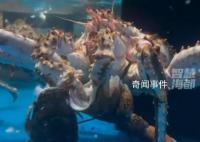 標價799的蟹吃了999的龍蝦 引發關注