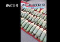 沉浸式圍觀東北傳統(tǒng)囤秋菜 如何囤秋菜