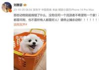 劉雅瑟稱不是所有流浪狗都是壞狗 呼吁停止捕殺動物