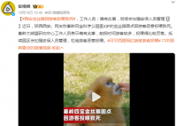 金絲猴因游客投喂而死?園方回應