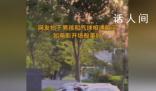 網友拍下男孩和氣球相遇美好瞬間 活中總有不期而遇的驚喜等著你