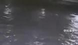 上海黃浦江兩船碰撞一船員落水失聯(lián) 事故原因正在進一步調(diào)查中
