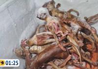 貓肉按每斤4塊5充當豬羊肉 中間的差值全是利潤