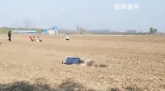 老人疑撿花生被卷入收割機身亡 警方已經介入處理此事