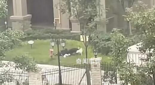 成都被狗咬傷女童轉出ICU 正在該院進行后續治療