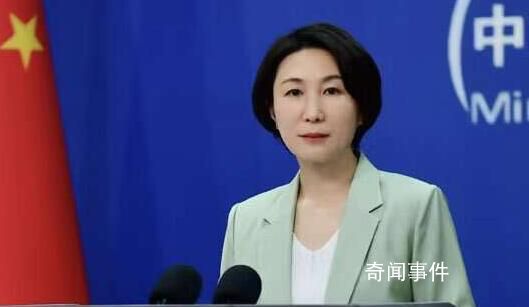 29名聯(lián)合國員工巴以沖突中喪生 外交部回應