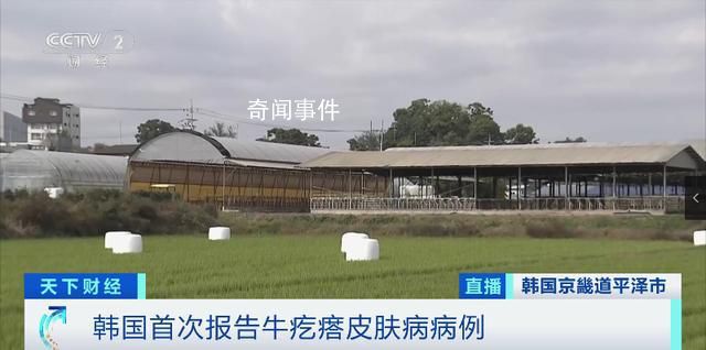 韓國確診多例牛疙瘩皮膚病病例 引發(fā)了韓國社會的高度關(guān)注