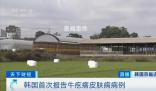 韓國(guó)確診多例牛疙瘩皮膚病病例 引發(fā)了韓國(guó)社會(huì)的高度關(guān)注