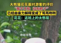花花掙的工資有一大半是委屈費