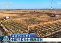 全國秋收進度近八成 吉林省大安市72萬畝水稻收獲進入高峰