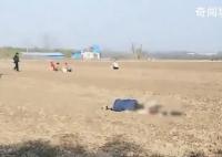 老人疑撿花生被卷入收割機身亡 警方已經介入處理此事