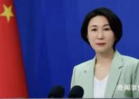 29名聯(lián)合國員工巴以沖突中喪生 外交部回應(yīng)