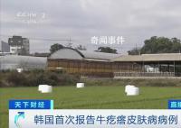 韓國確診多例牛疙瘩皮膚病病例 引發了韓國社會的高度關注