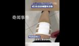 女子帶娃路過公園 被3條流浪狗圍攻