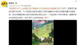 千人在線看“打鬼子直播” 抖音回應