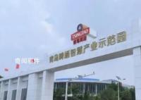 “小便風波”青啤三廠:當地龍頭