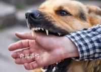 狂犬病潛伏期長達十幾年?別信