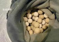 旅客攜保健石入境 核輻射超標千倍