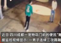 寵物店前雕塑狗遭人打砸 店主氣炸