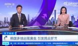 臭蟲入侵韓國多地 引發了民眾不安