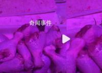 女子買菜看有老鼠狂啃食雞腿 市場：加強整頓