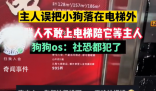 小狗被落電梯外一群鄰居陪著等 網友贊嘆：什么神仙鄰居