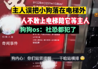 小狗被落電梯外一群鄰居陪著等 網友贊嘆：什么神仙鄰居
