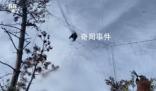 國家級保護(hù)區(qū)山上遍布捕鳥網(wǎng) 當(dāng)?shù)貙ｍ?xiàng)整治