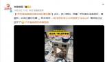 在考研和考公之間選擇了烤地瓜