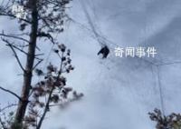 國家級保護區山上遍布捕鳥網 當地將專項整治