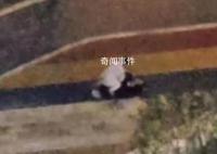女子深夜疑遭家暴?救人者發(fā)聲