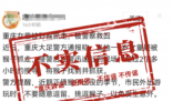 重慶一女童被野猴抓走?假的