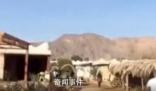 不明發射物落入埃及西奈半島城鎮