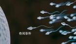 科學(xué)家:精子運(yùn)動(dòng)違背牛頓第三定律