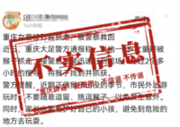 重慶一女童被野猴抓走?假的