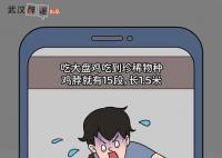 大盤雞吃出15根雞脖系擺拍 目前造謠者已被公安機關依法依規處理