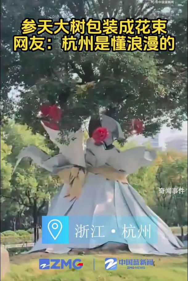 杭州參天大樹被包裝成巨型花束 不少市民都拿出手機拍照記錄