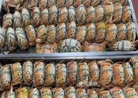 杭州一中學午餐上了1000只大閘蟹 學校這伙食太讓人羨慕了