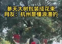 杭州參天大樹(shù)被包裝成巨型花束 不少市民都拿出手機(jī)拍照記錄