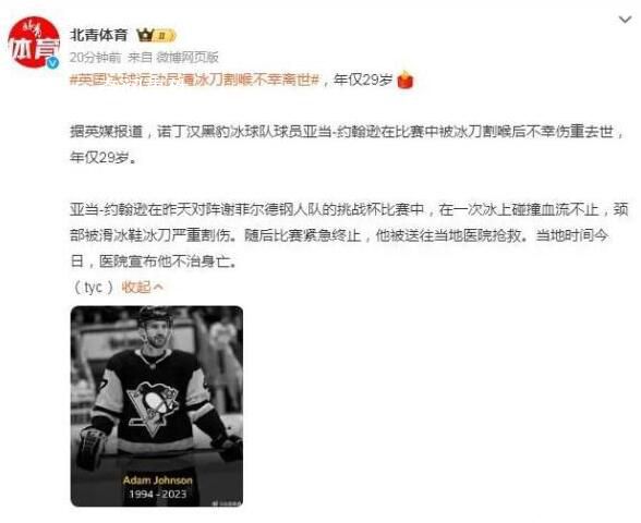 1毫米冰刀刃堪比刀刃 英國冰球運動員遭冰刀割喉不幸離世