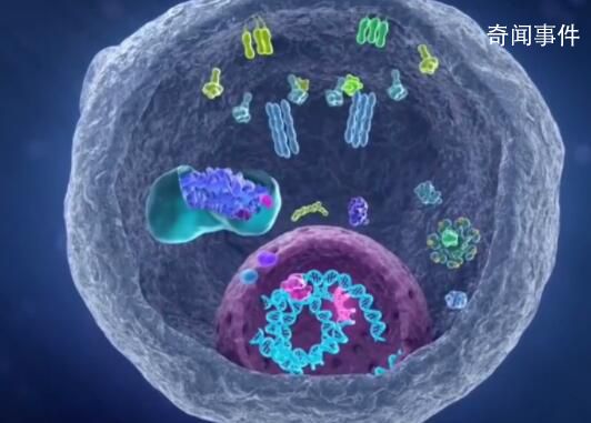 科學家找到癌細胞的生死開關