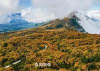 峨眉山招聘猴群管理員 用工性質為合同聘用