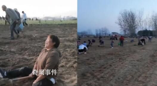 種植戶藥材遭村民哄搶 官方通報