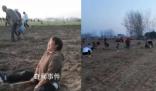 種植戶藥材遭村民哄搶 官方通報