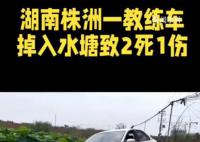 教練車掉入水塘致2死1傷 內情曝光