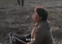 盤點河南多地哄搶事件通報 被哄搶藥材已基本追回